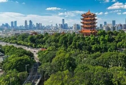 真人百家乐 源码-真人百家乐源码，技术背后的娱乐创新